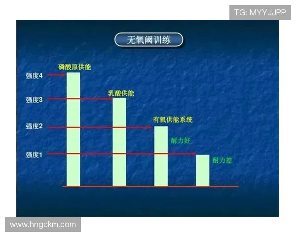 北京羽毛球队整体压制战术解析与实战应用探讨