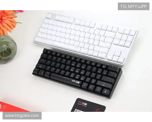 和平精英装备选购指南：最适合玩家的机械键盘推荐与评测